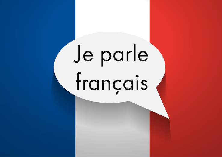 French Basic Grammar - etalkschool.com